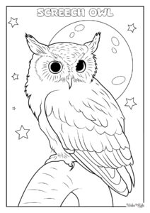 Screech Owl Coloring Pages