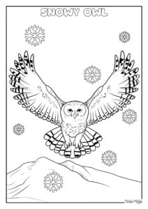 Snowy Owl Coloring Page