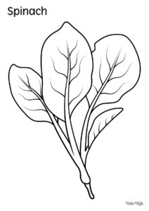 Spinach Coloring Pages