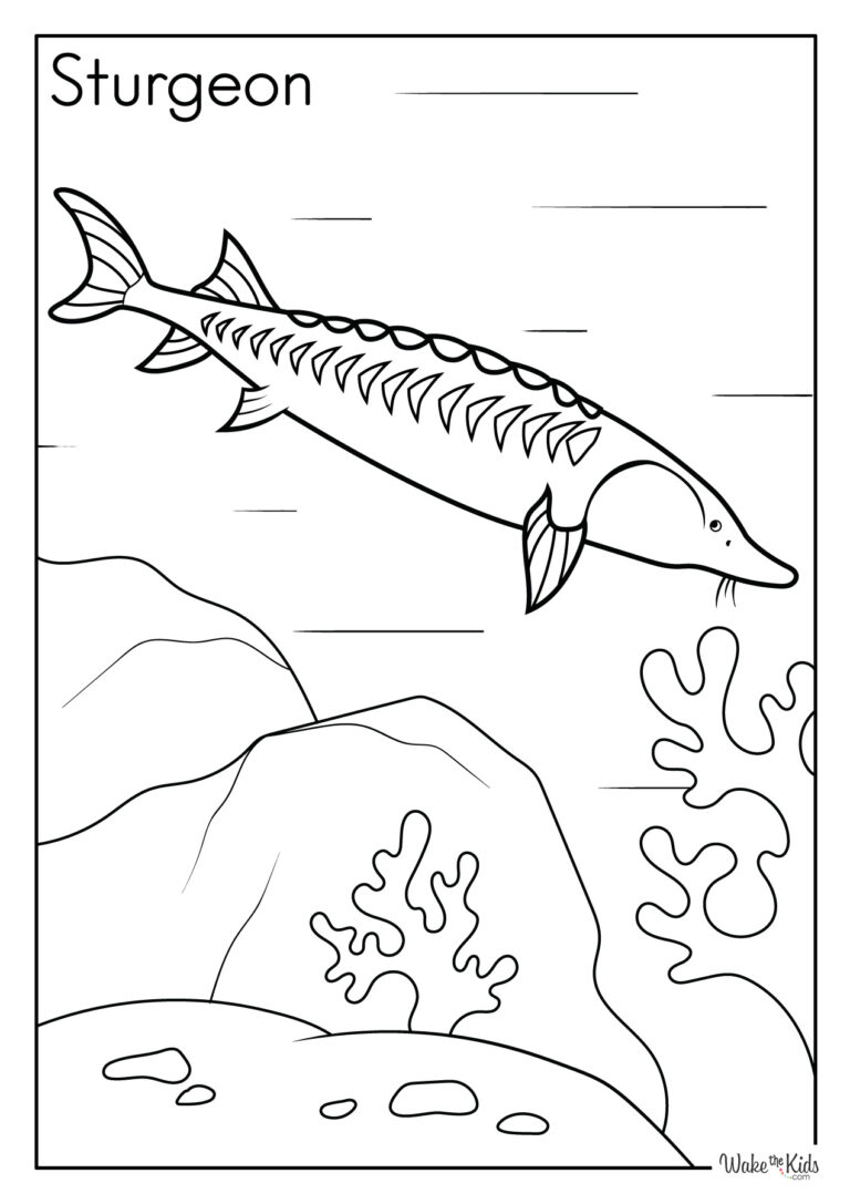 Sturgeon Coloring Pages