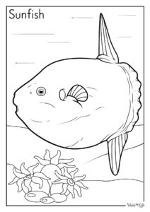 Sunfish Coloring Pages