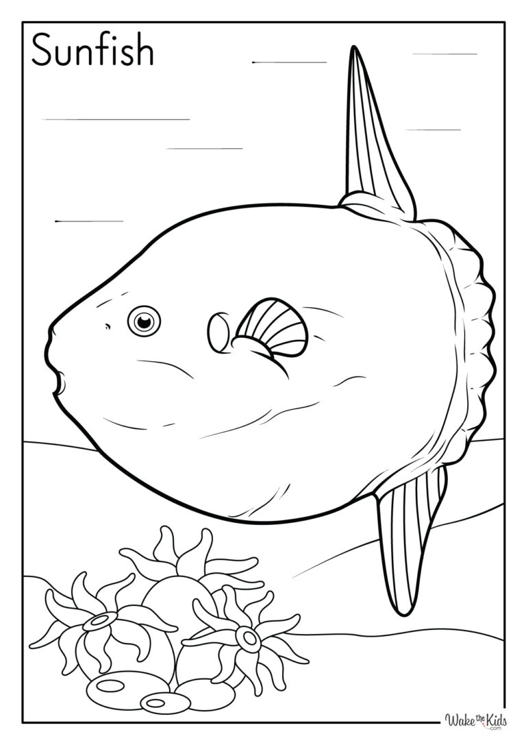 Sunfish Coloring Pages