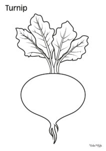 Turnip Coloring Pages