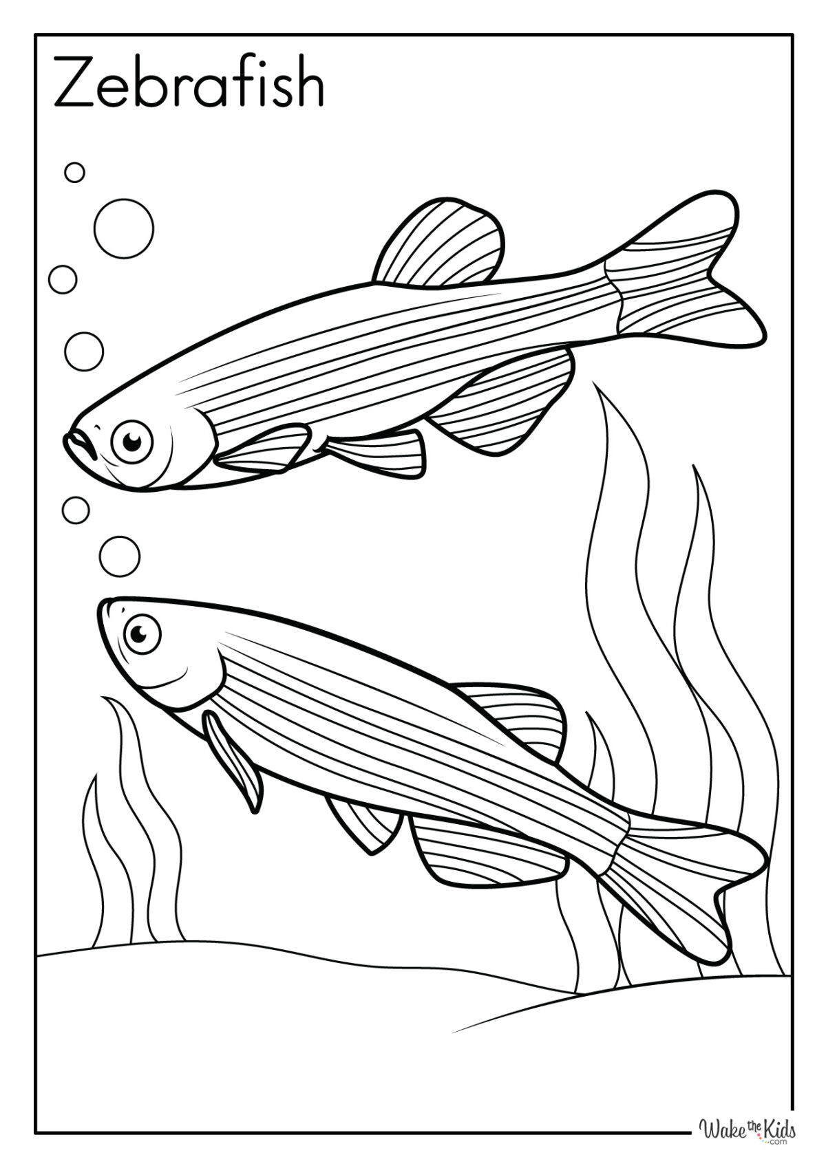 Zebrafish coloring pages free printable pdfs wakethekids