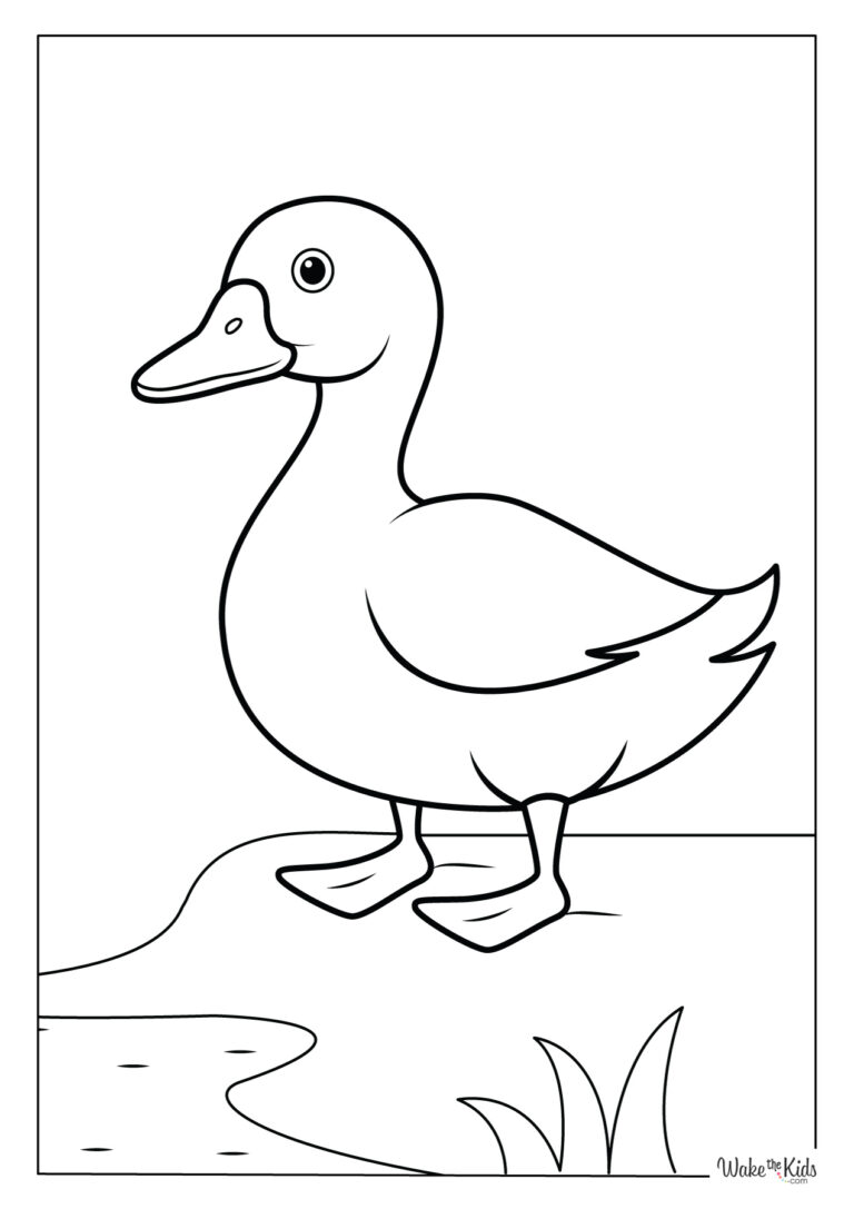 Duck Coloring Pages