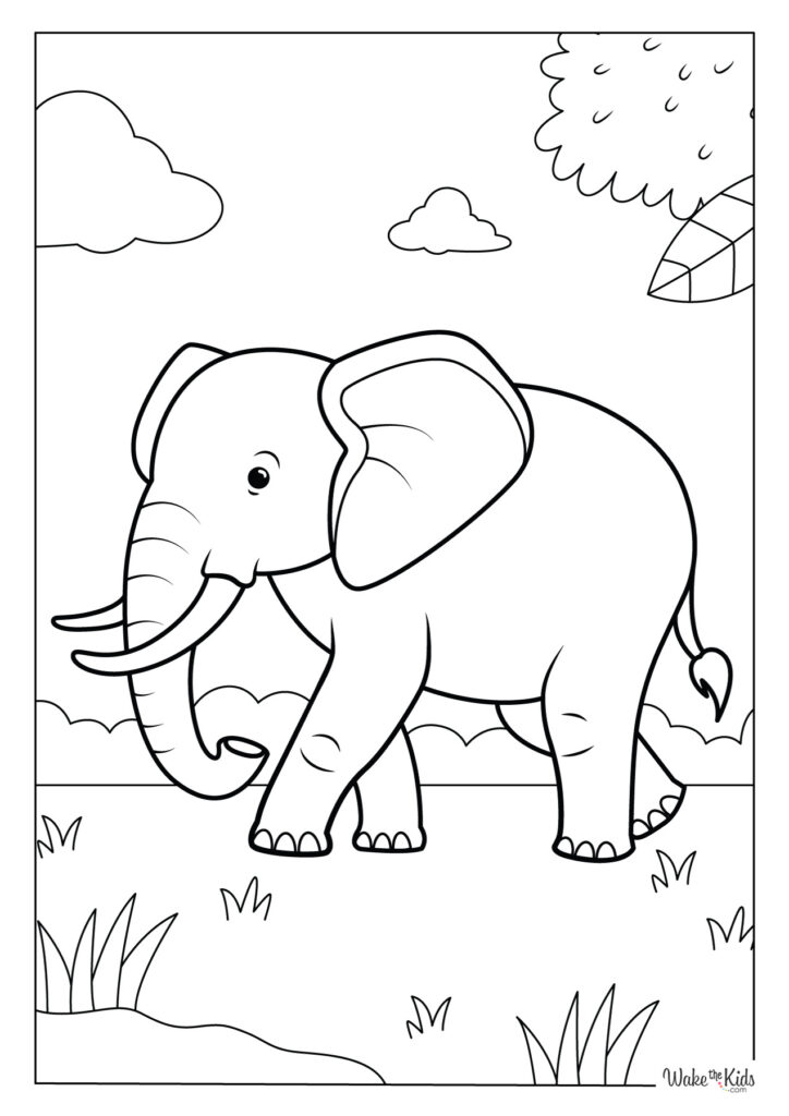 Elephant Coloring Pages