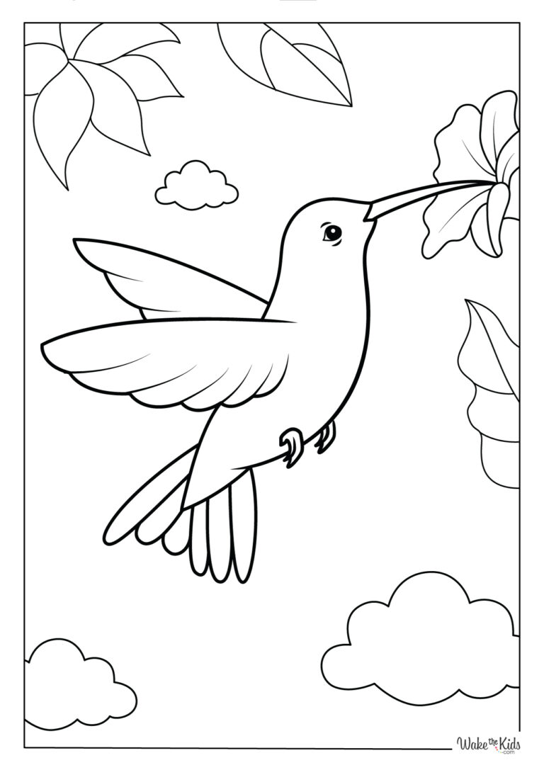 Hummingbird coloring pages free printable pdfs wakethekids