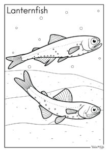 Lanternfish Coloring Pages