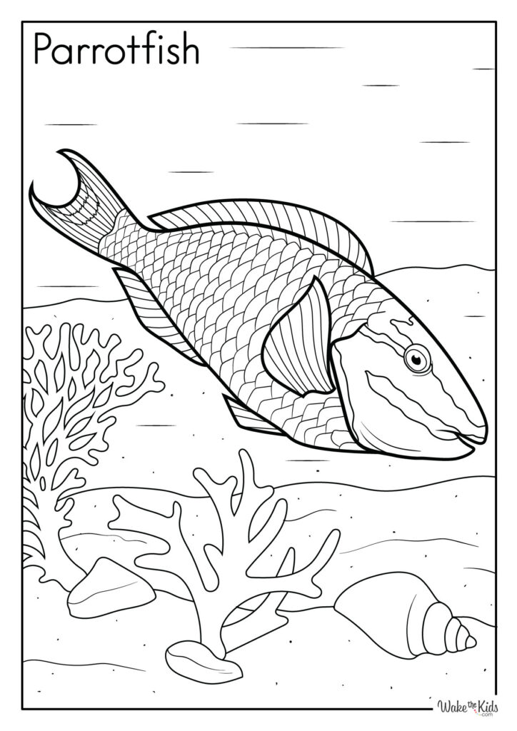 Parrotfish Coloring Pages