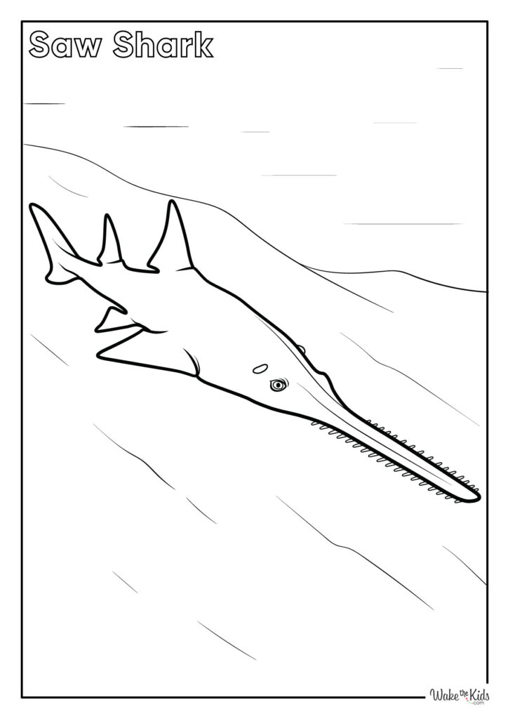 Shark Coloring Pages (Free Printable PDFs) | WakeTheKids
