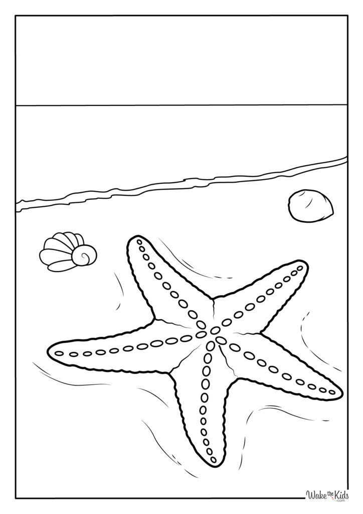 Starfish Coloring Pages