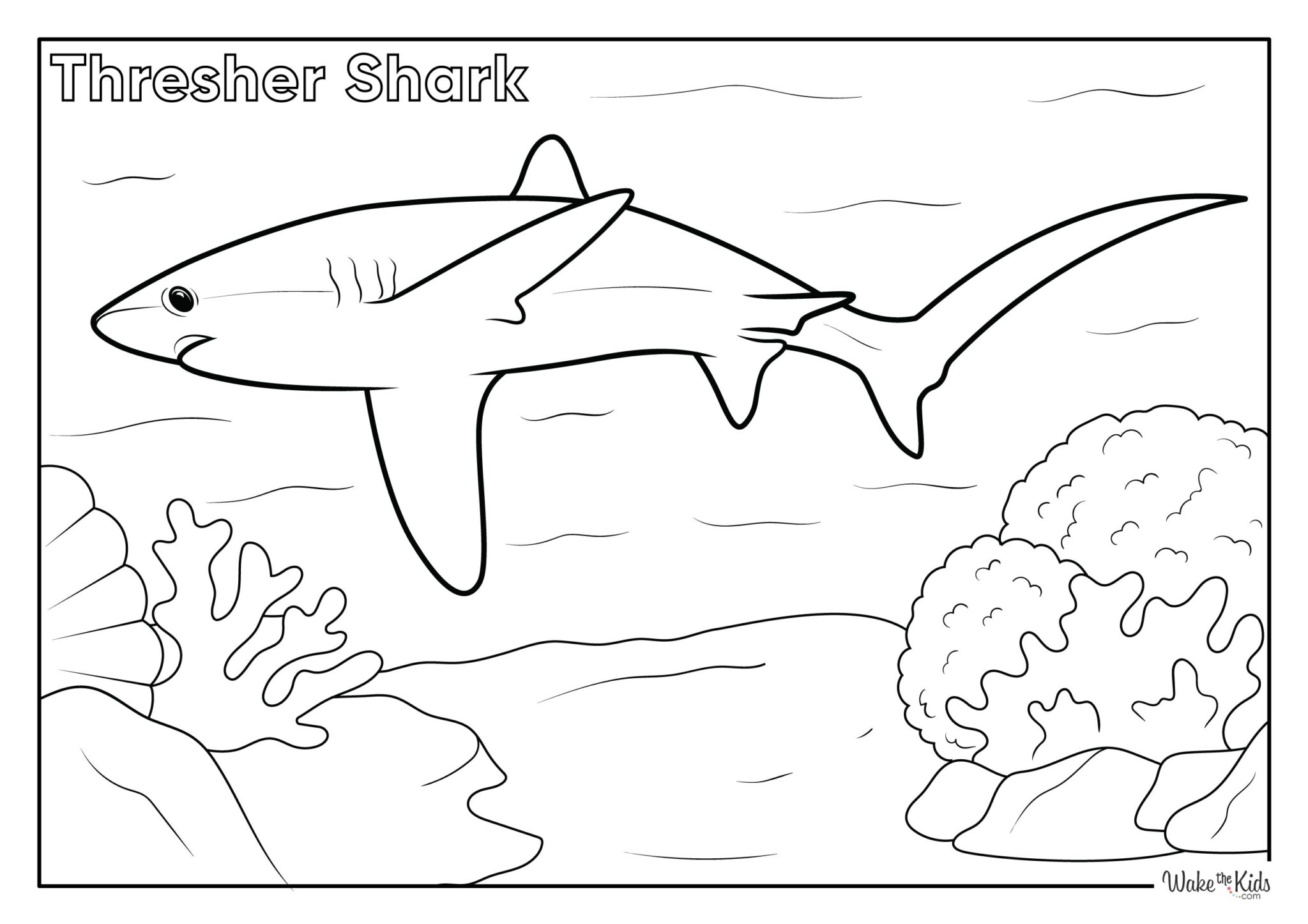 Shark Coloring Pages (Free Printable PDFs) | WakeTheKids