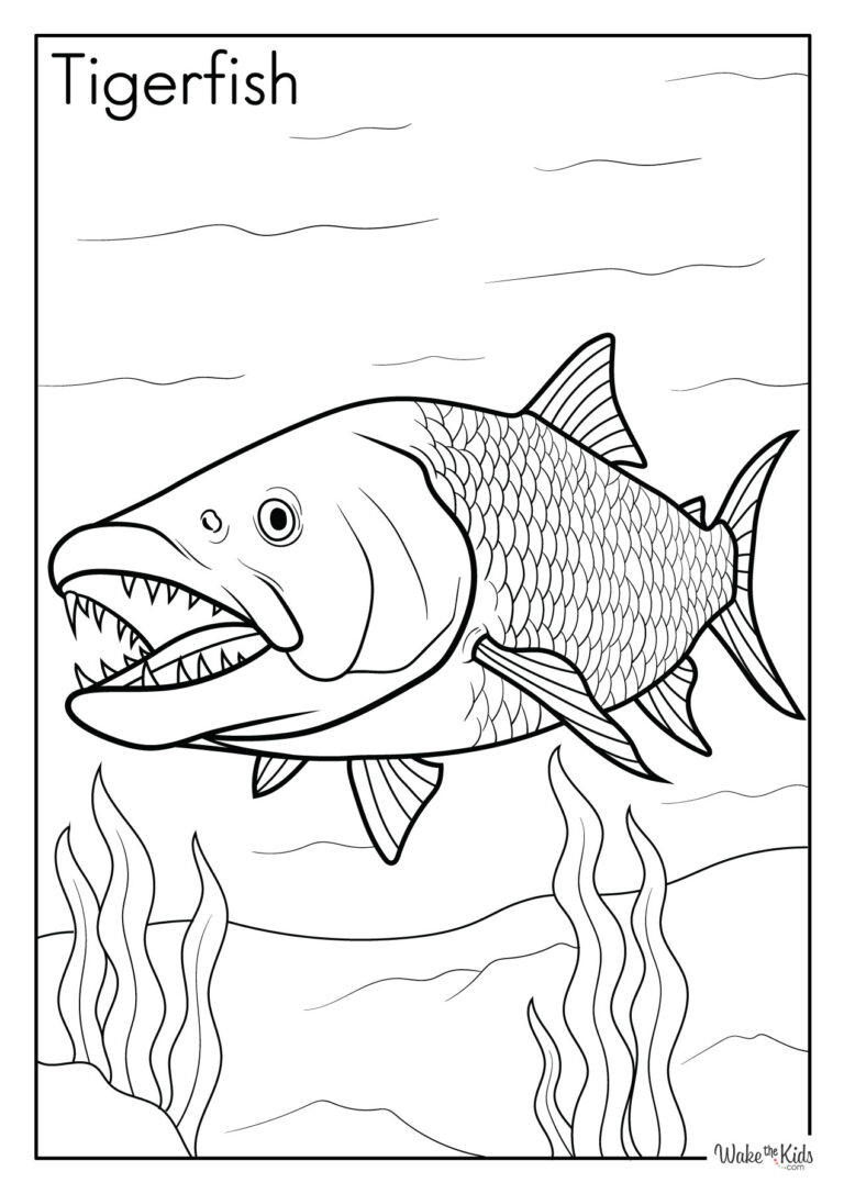 Tigerfish Coloring Pages