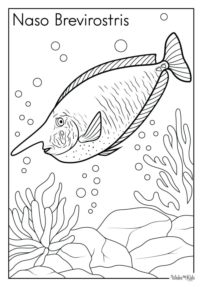 Unicorn Fish (Naso Brevirostris) Coloring Pages