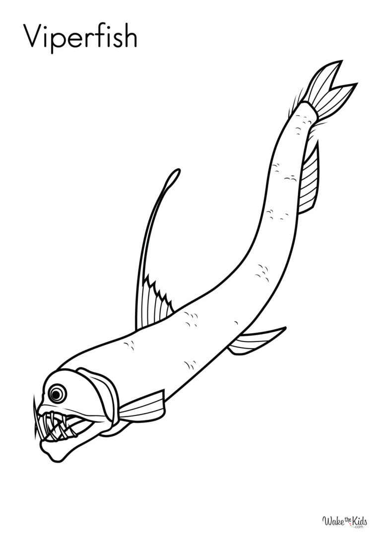 Viperfish Coloring Pages