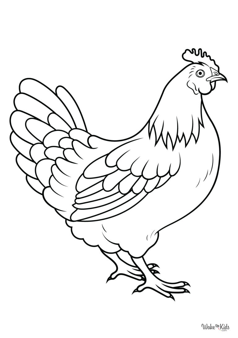 Chicken Coloring Pages