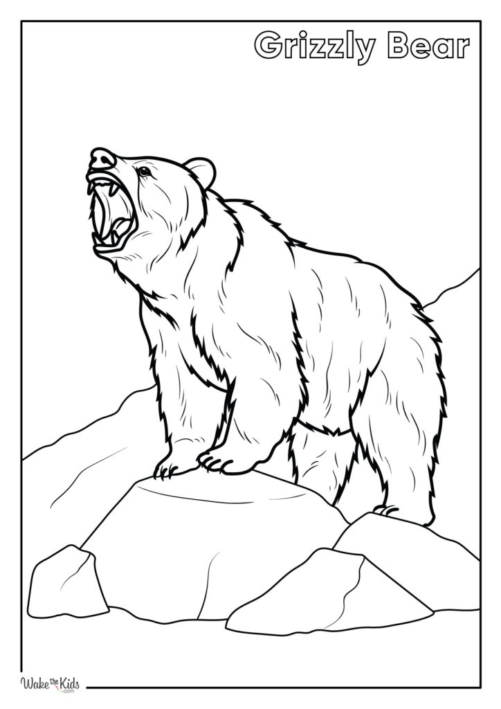 Grizzly Bear Coloring Pages