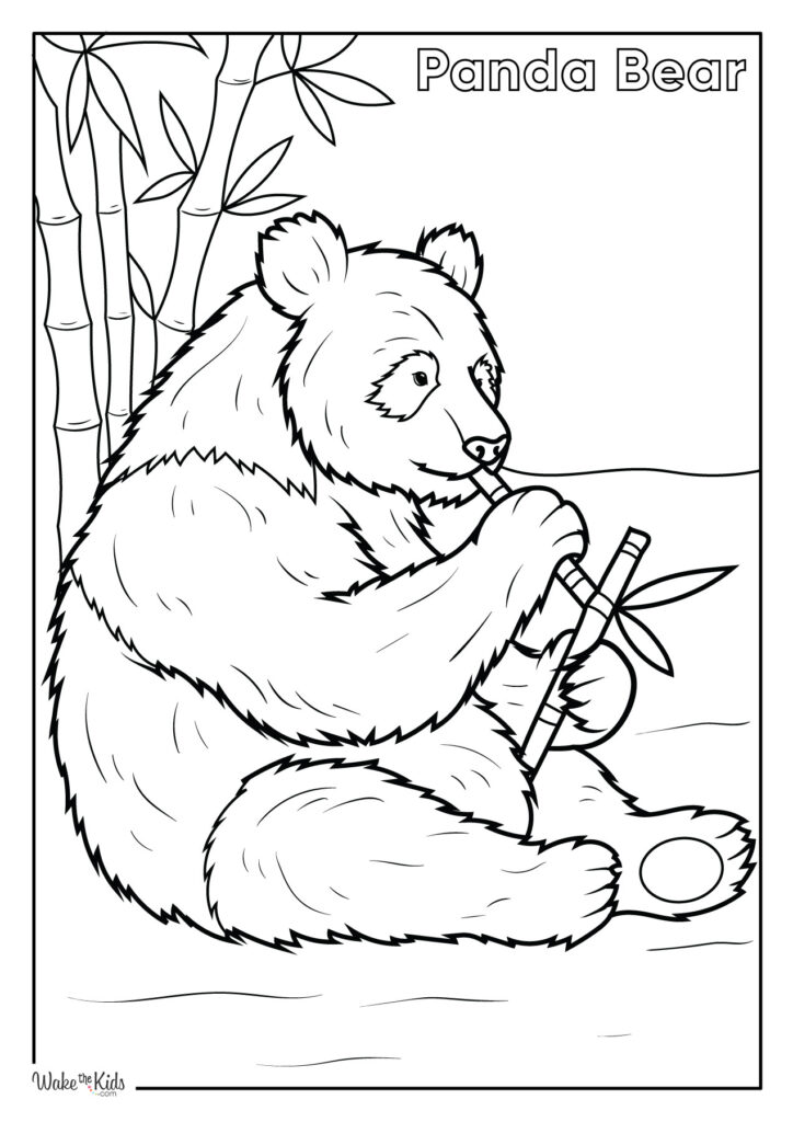 Panda Coloring Pages