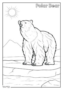 Polar Bear Coloring Pages