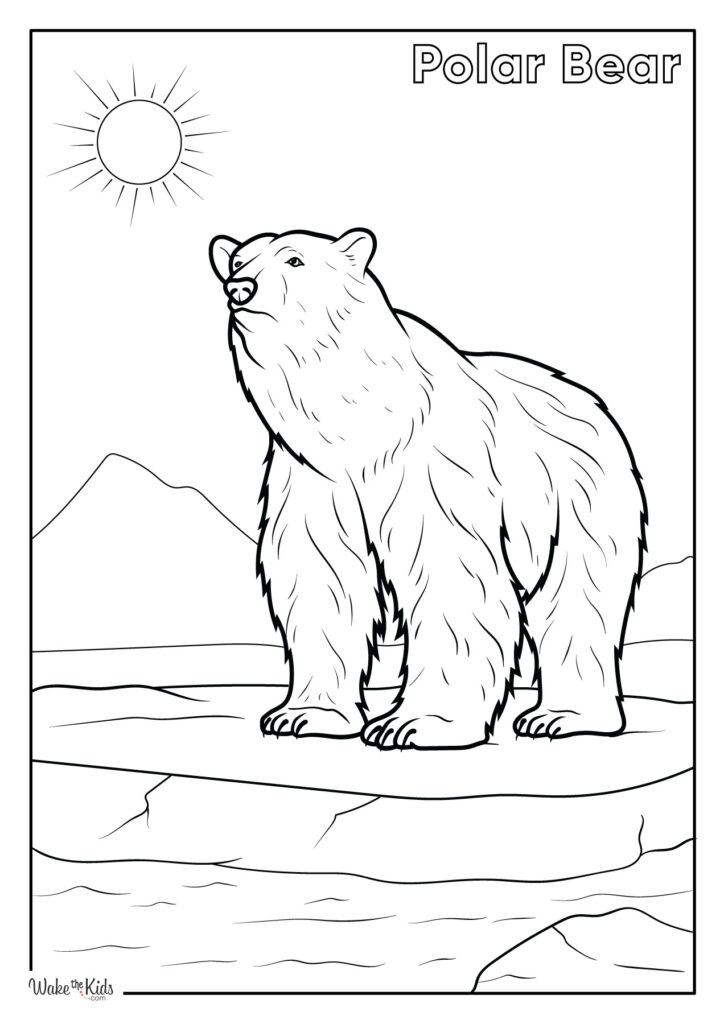 Polar Bear Coloring Pages