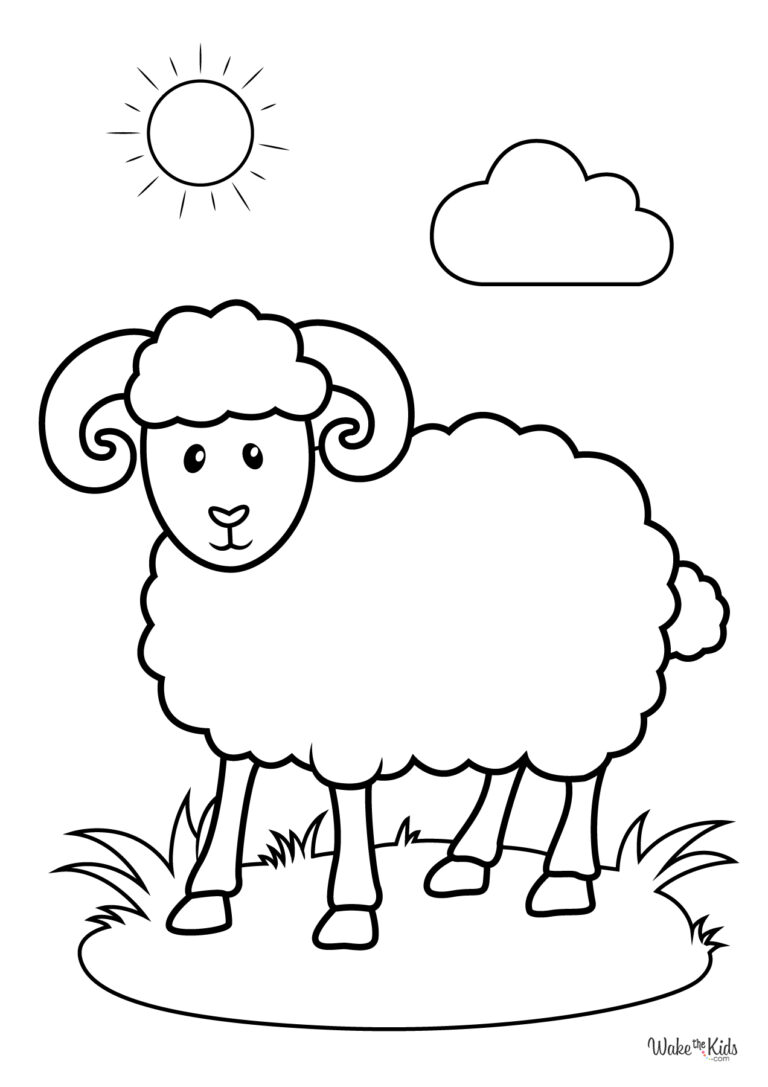 Sheep Coloring Pages