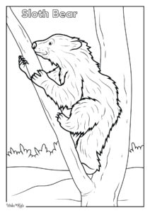 Sloth Bear Coloring Pages