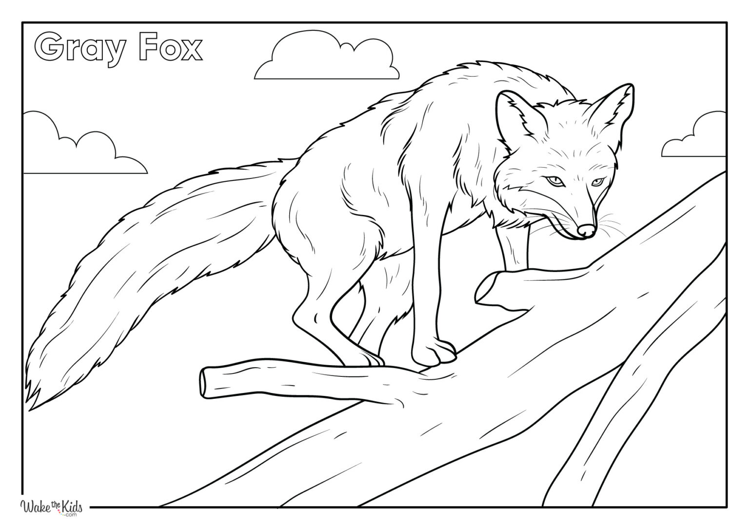 Fox Coloring Pages (Free Printable PDFs) WakeTheKids