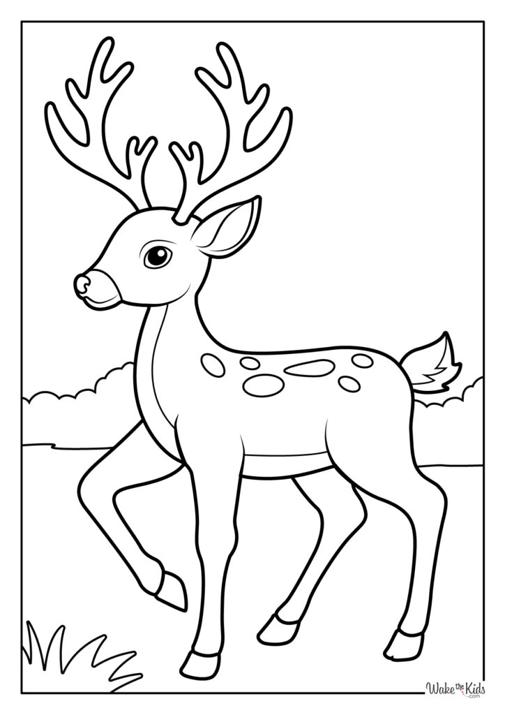 Deer Coloring Pages