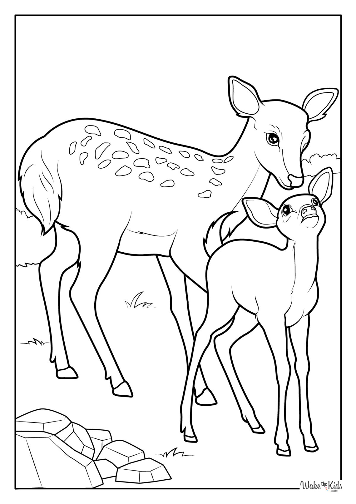 Deer Coloring Pages (Free Printable PDFs) | WakeTheKids