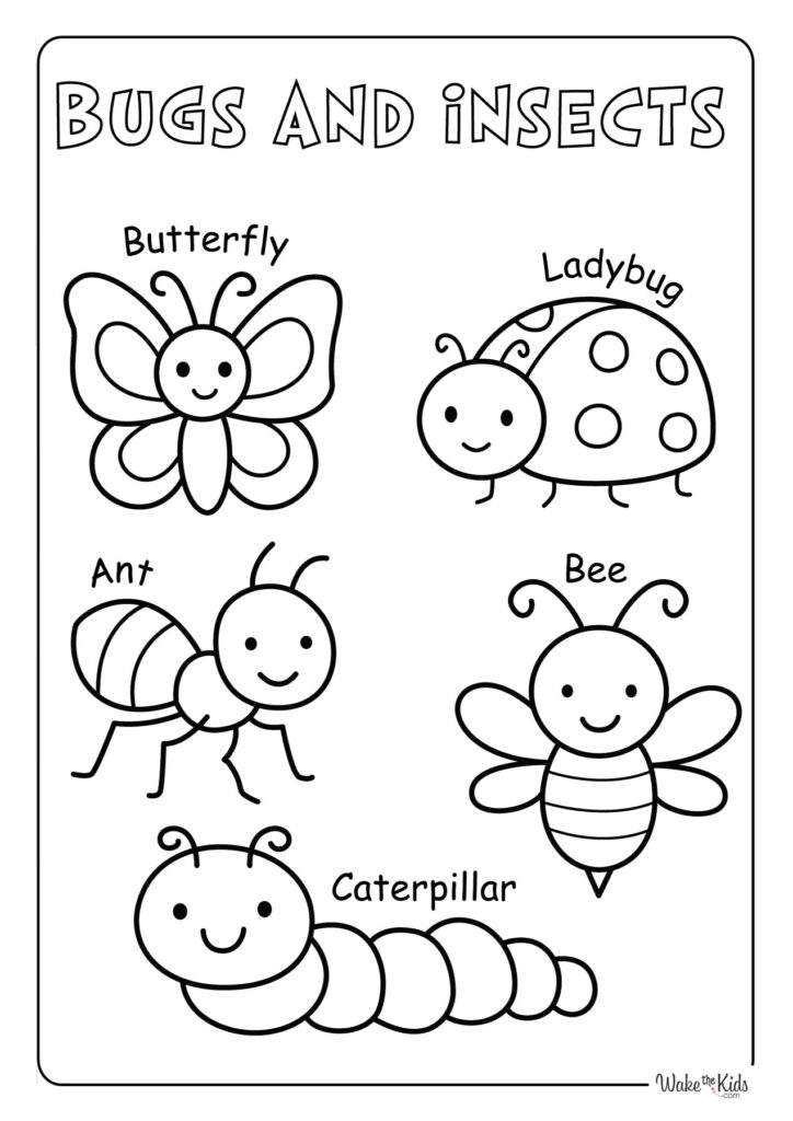 Bugs and Insects Coloring Pages