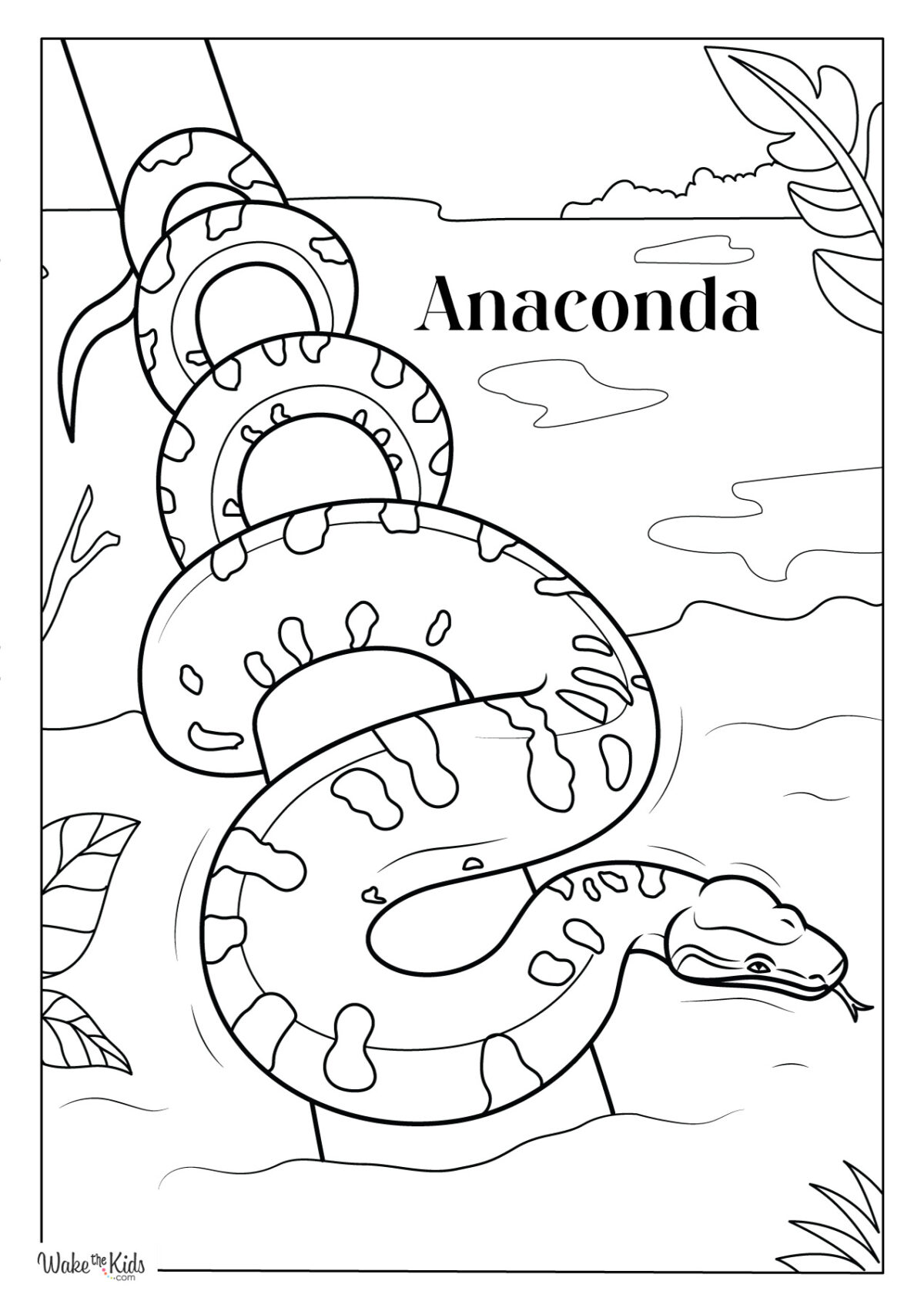 Anaconda Coloring Pages (Free Printable PDFs) | WakeTheKids