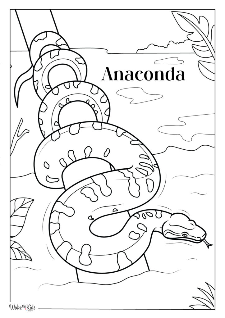 Anaconda Coloring Pages