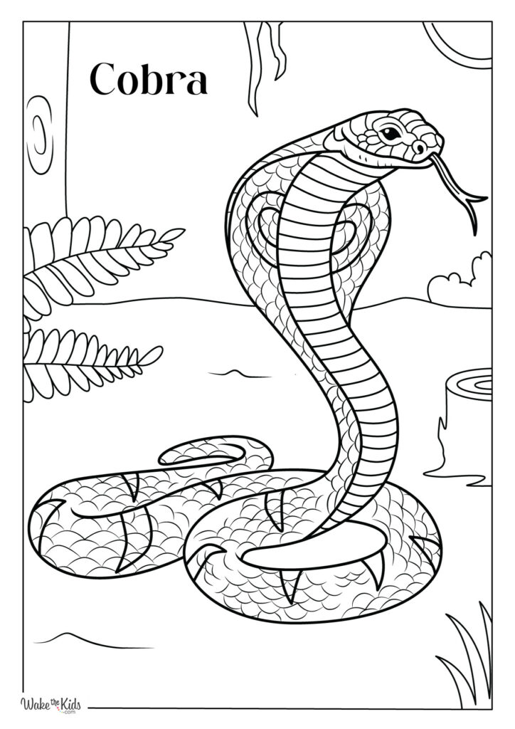 Cobra Coloring Pages