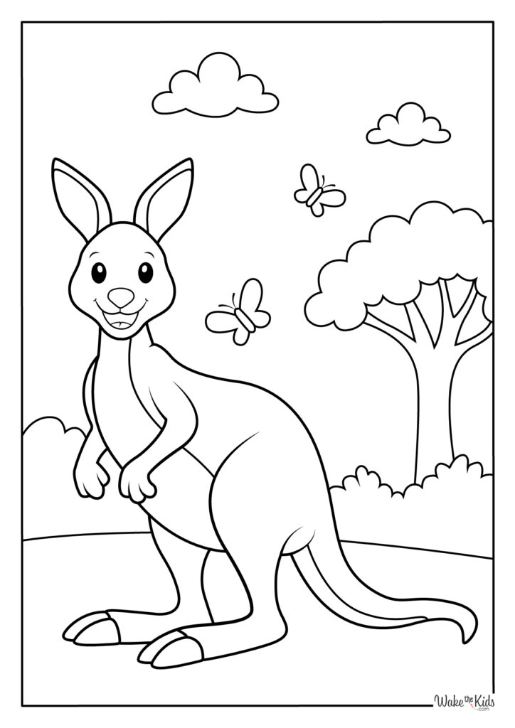 Kangaroo Coloring Pages
