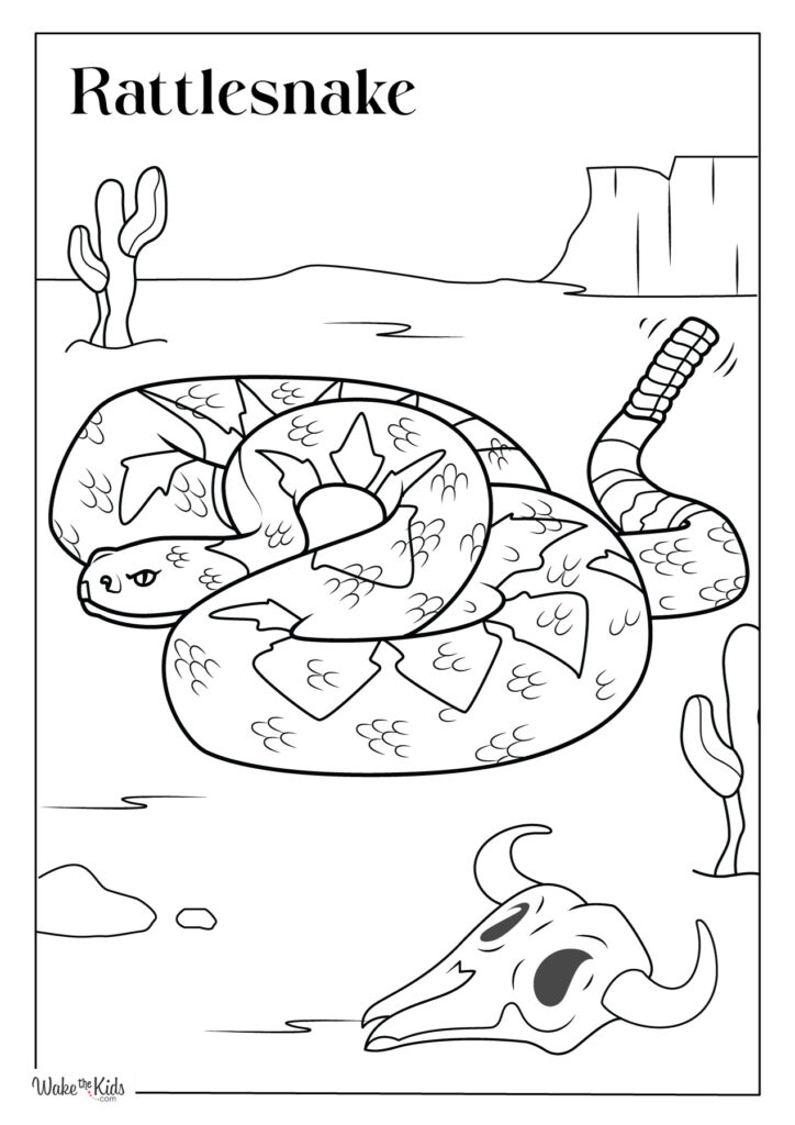 Rattlesnake Coloring Pages