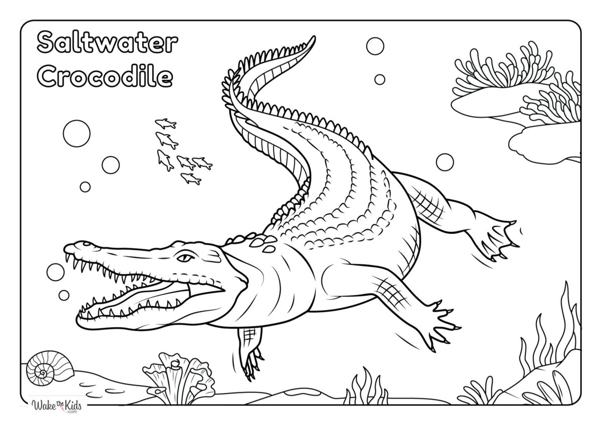 Crocodile Coloring Pages Coloring Pages (Free Printable PDFs) | WakeTheKids