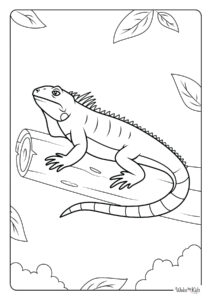 Iguana Coloring Pages