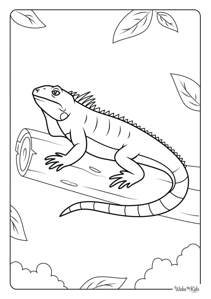 Iguana Coloring Pages