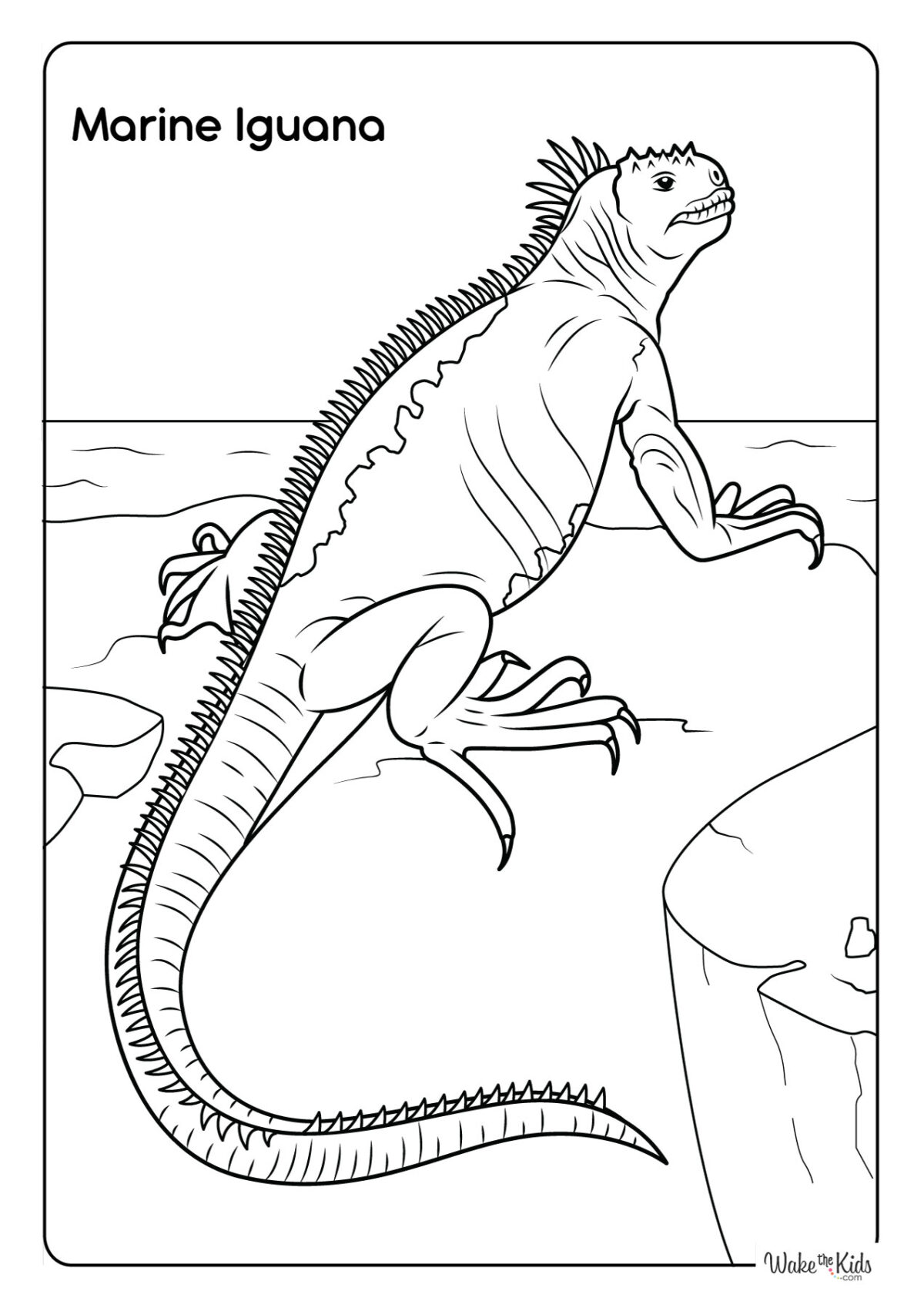 Iguana Coloring Pages (Free Printable PDFs) | WakeTheKids