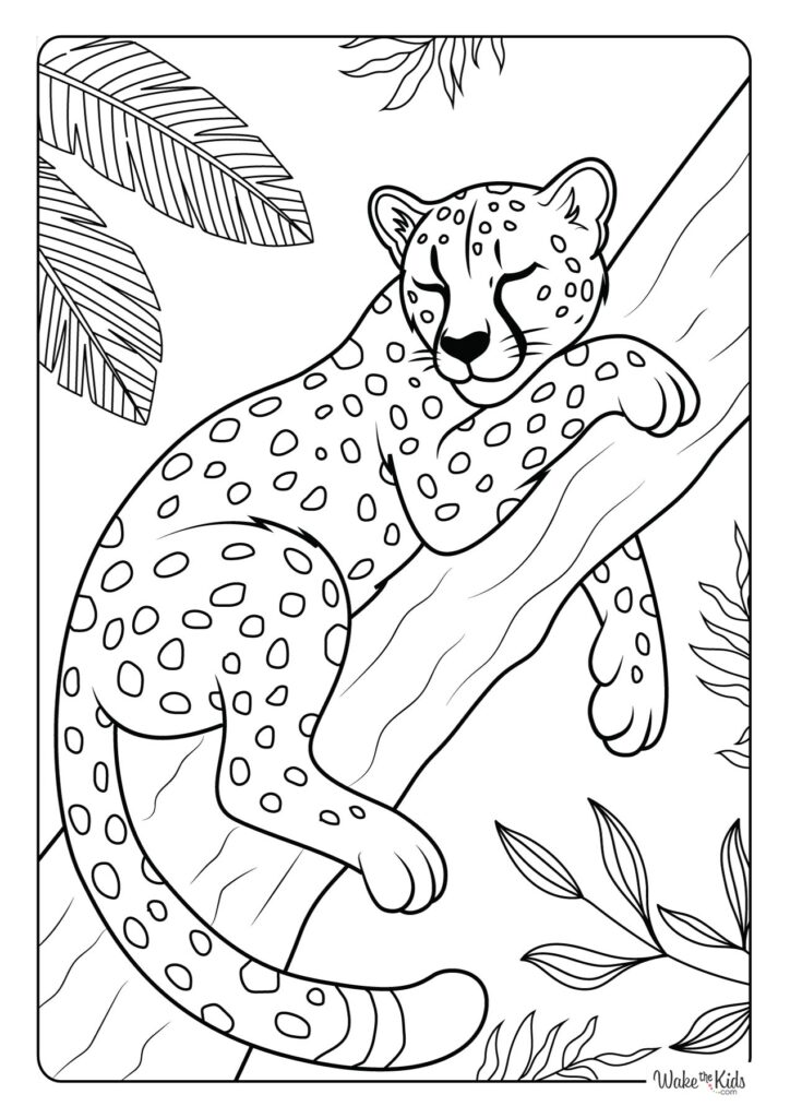 Cheetah Coloring Pages