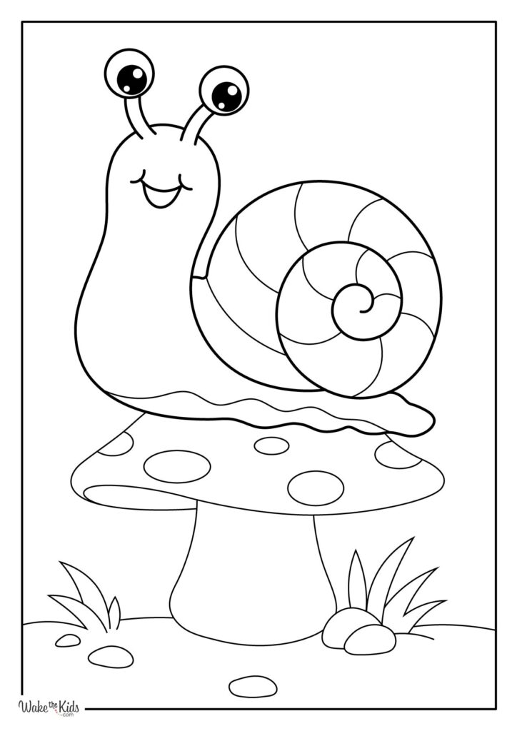 Snail Coloring Pages