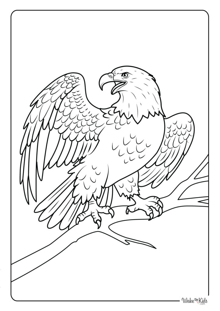 Bald Eagle Coloring Pages