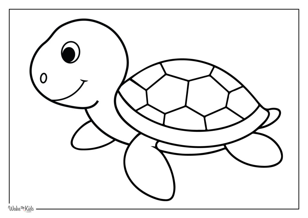 Turtle Coloring Pages
