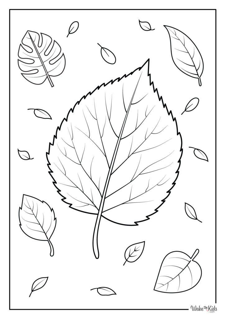 Leaf Coloring Pages