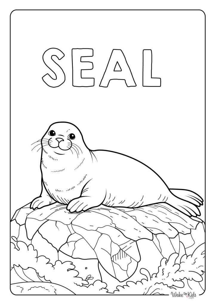 Seal Coloring Pages