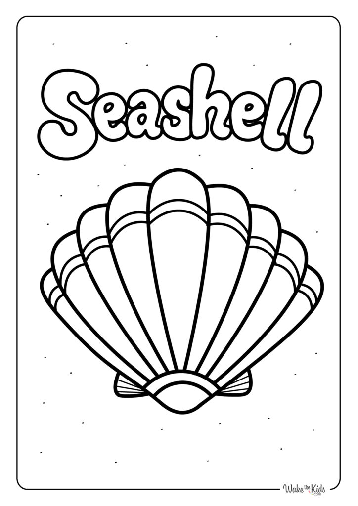 Seashell Coloring Pages