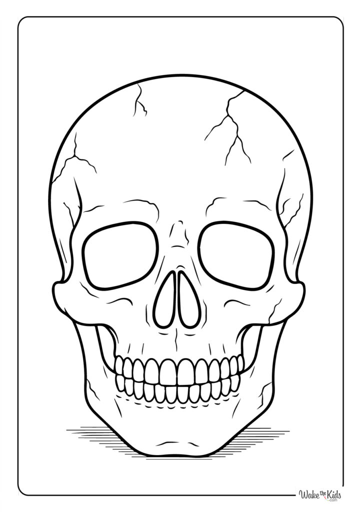 Skull Coloring Pages
