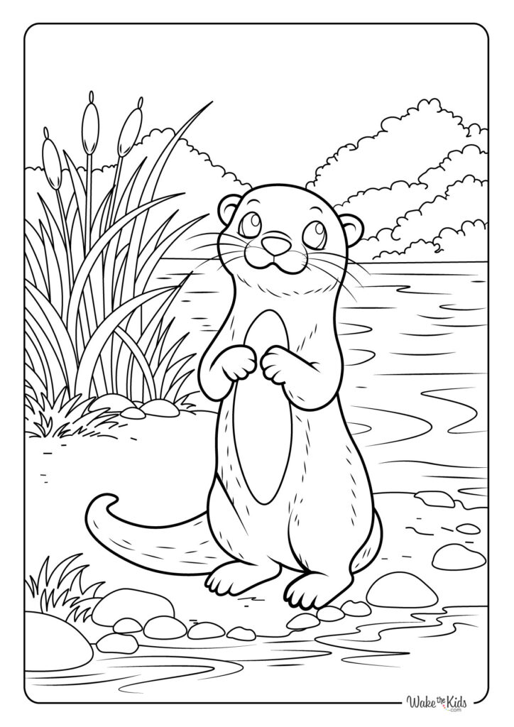 Otter Coloring Pages