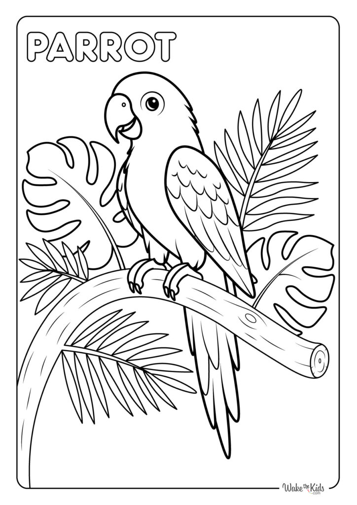 Parrot Coloring Pages