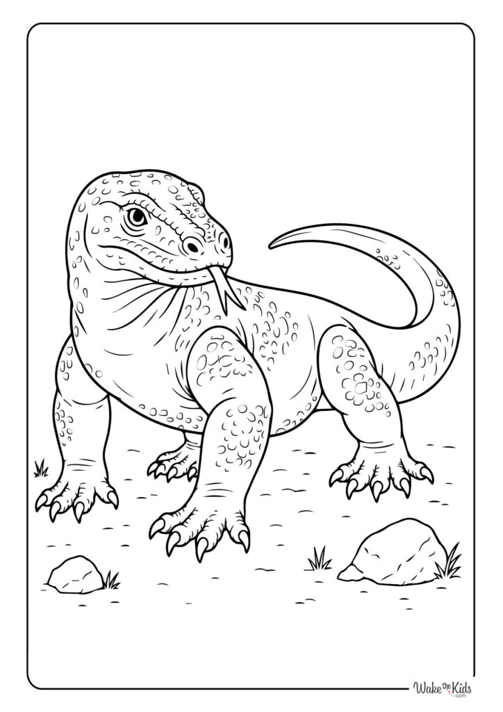 Komodo Dragon Coloring Pages